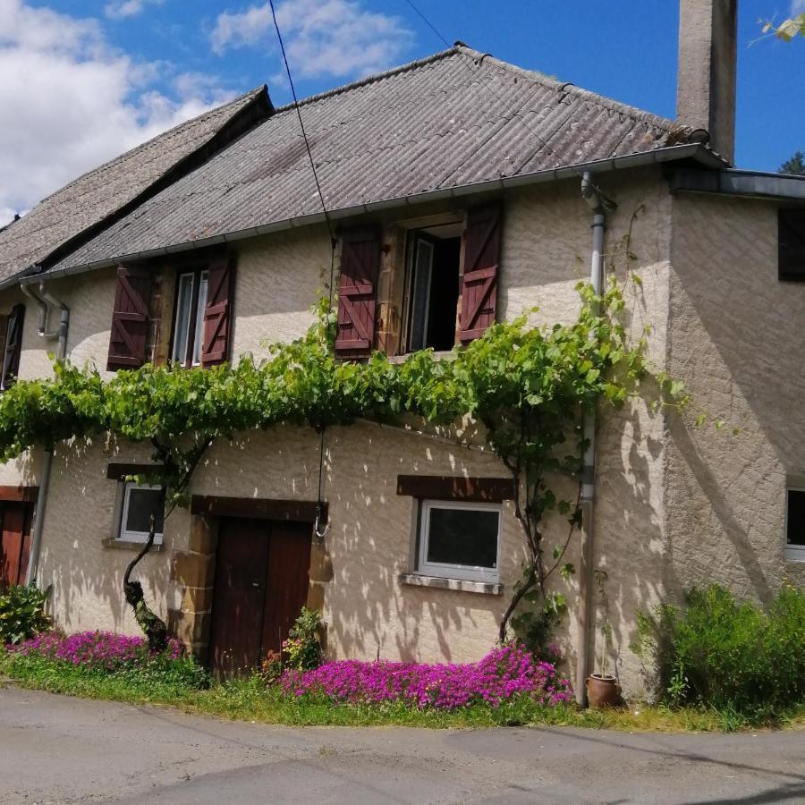 Maison Familiale Coteaux De La Vezere Voutezac المظهر الخارجي الصورة